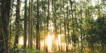 The Importance of Vitamin D for Your Baby’s Health: A Comprehensive Guide