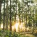 The Importance of Vitamin D for Your Baby’s Health: A Comprehensive Guide The Importance of Vitamin D for Your Baby’s Health: A Comprehensive Guide
