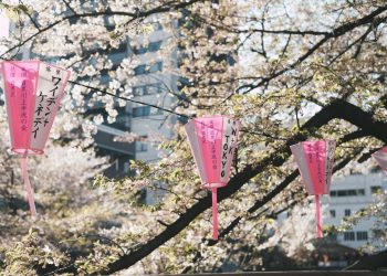 Tokyo: A Vibrant Tapestry of Art and Culture