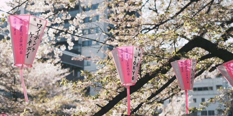 Tokyo: A Vibrant Tapestry of Art and Culture Tokyo: A Vibrant Tapestry of Art and Culture