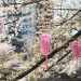 Tokyo: A Vibrant Tapestry of Art and Culture Tokyo: A Vibrant Tapestry of Art and Culture