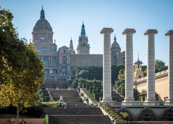 How Video Content Enhances the Museum Experience