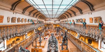 Interactive Art: How Museums Are Using Video Technology