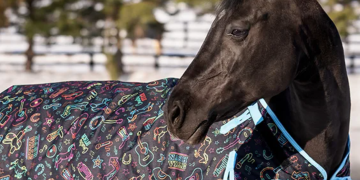Unbridled Excellence: Elevate Your Equestrian Experience with Horse.com