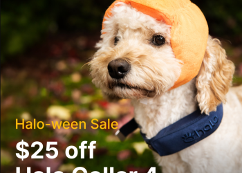Unlock Your Dog’s Potential: Discover the Freedom of the Halo Collar Unlock Your Dog’s Potential: Discover the Freedom of the Halo Collar