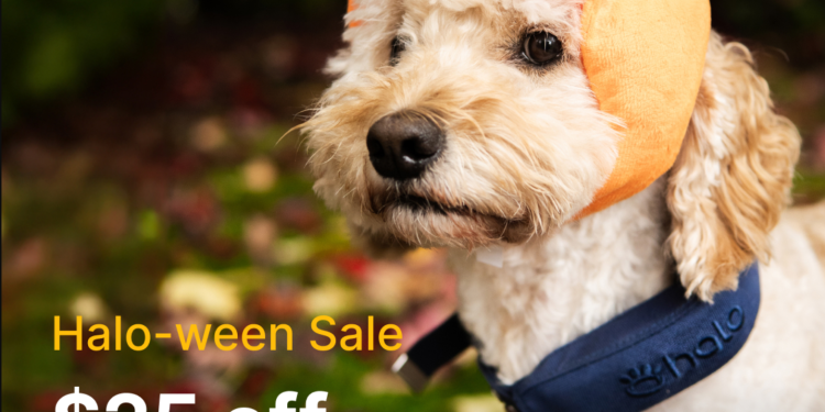 Unlock Your Dog’s Potential: Discover the Freedom of the Halo Collar Unlock Your Dog’s Potential: Discover the Freedom of the Halo Collar